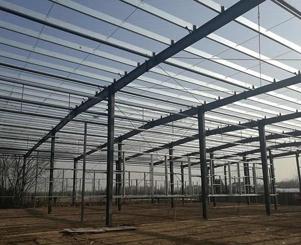 安農(nóng)大廬江基地鋼構項目