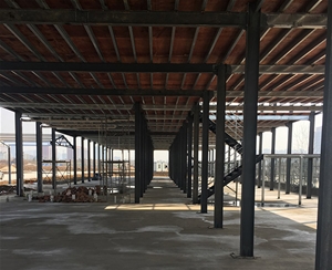 二層鋼結(jié)構(gòu)